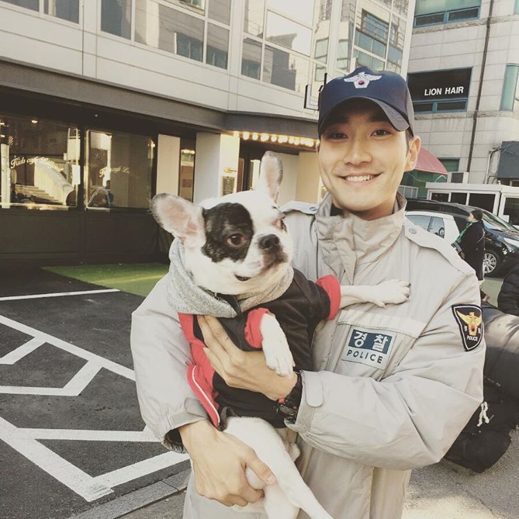 Super Juniorシウォンの愛犬が隣人を噛んで死亡事件に その真相とは 韓流スタイル